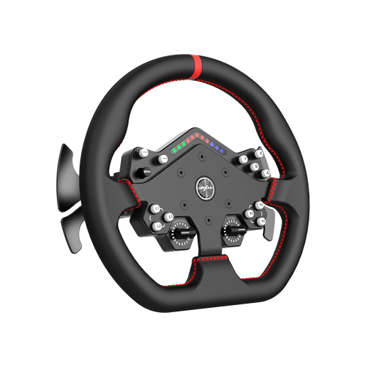Steering Wheel | W DS R2 | PXN